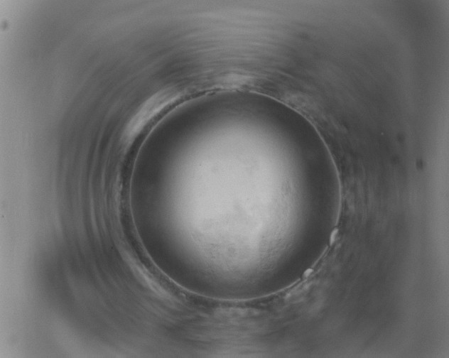 X0000062890242200601201853