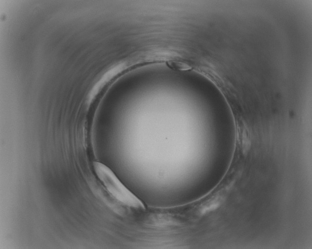 X0000062890244200601201853