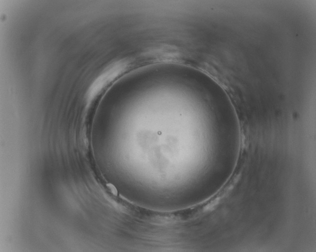 X0000062890245200601201853