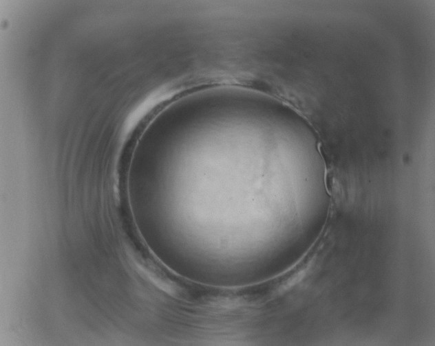 X0000062890246200601201853