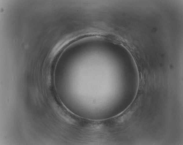 X0000062890247200601201853