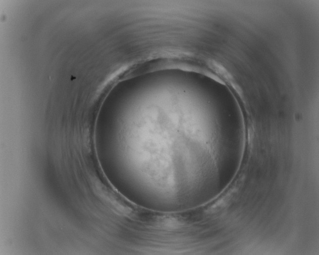 X0000062890249200601201853