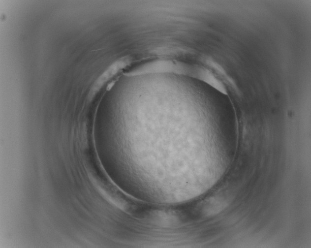 X0000062890250200601201853