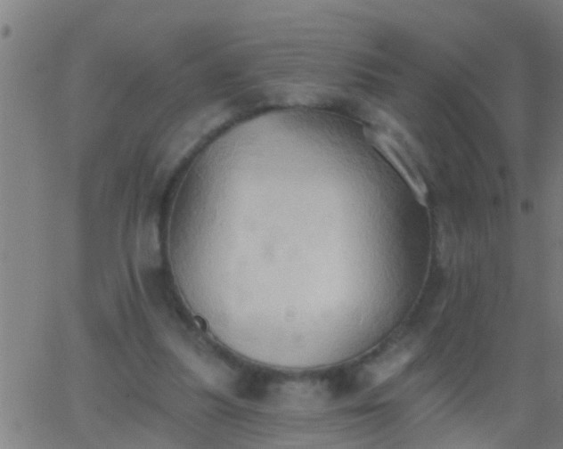 X0000062890251200601201853