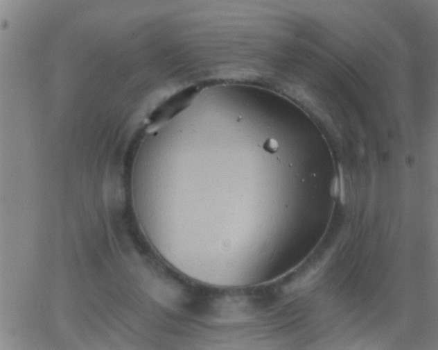 X0000062890252200601201853