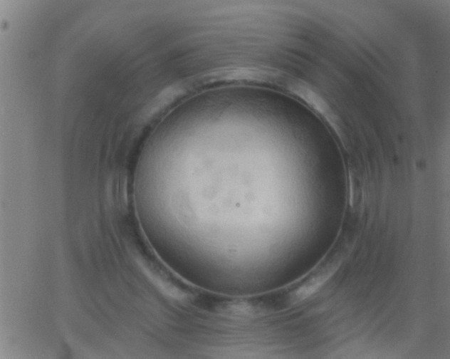 X0000062890253200601201853