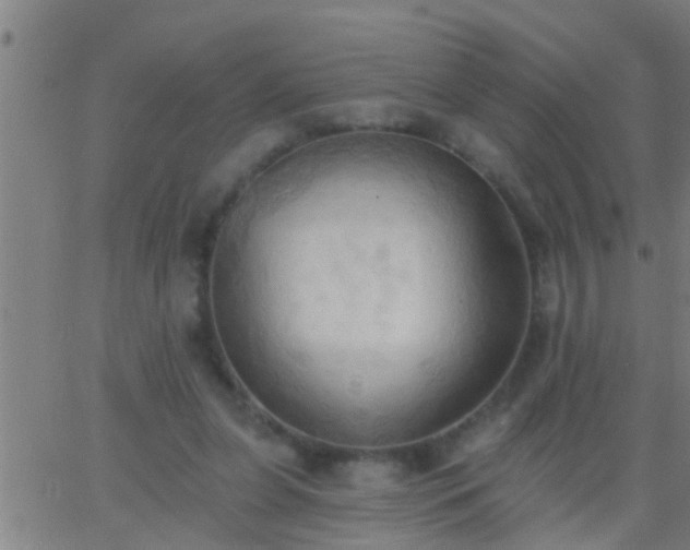 X0000062890255200601201853