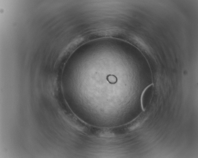 X0000062890258200601201853