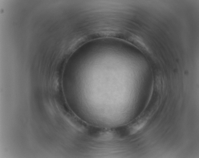 X0000062890259200601201853