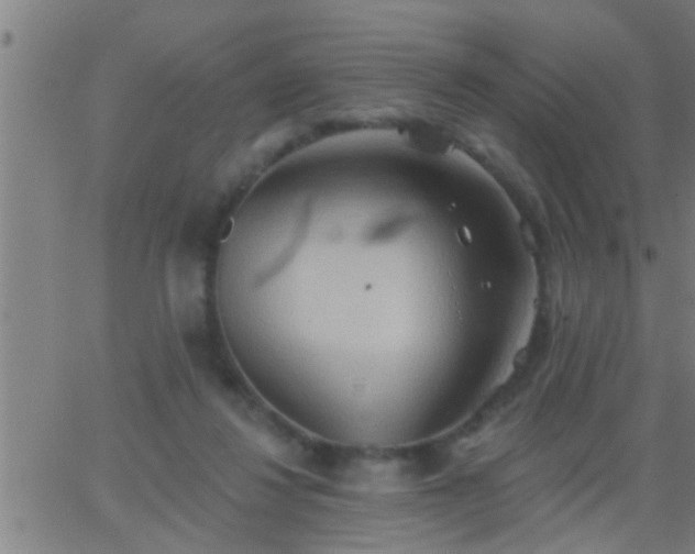 X0000062890260200601201853