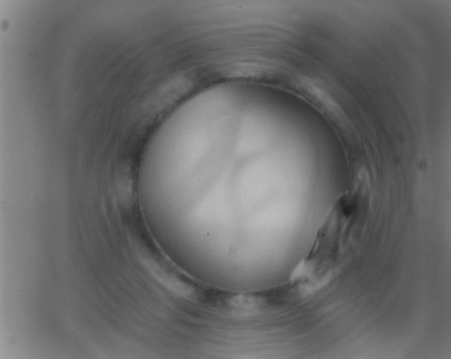 X0000062890261200601201853