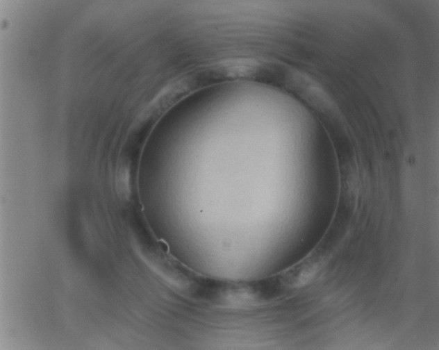 X0000062890262200601201853