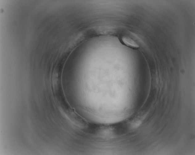 X0000062890263200601201853