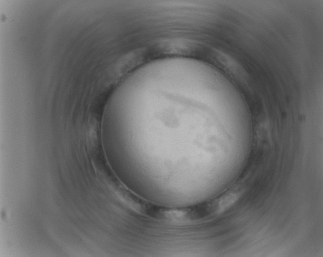 X0000062890265200601201853