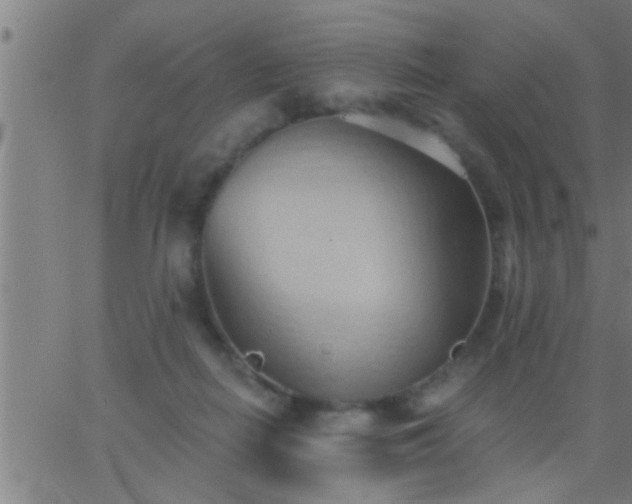 X0000062890266200601201853