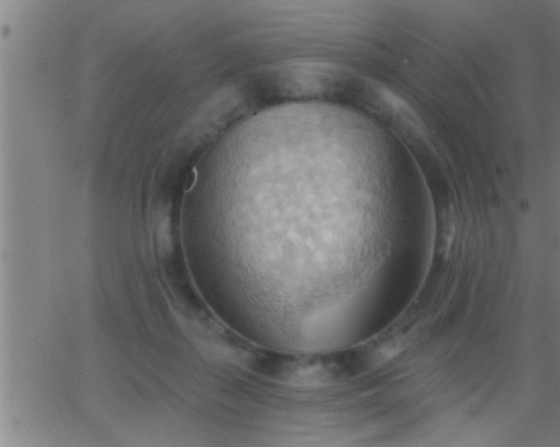 X0000062890267200601201853