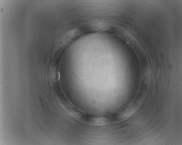 X0000062890268200601201853