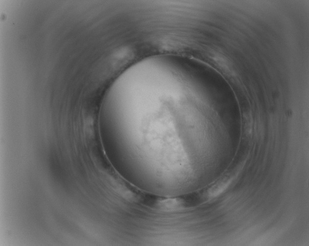 X0000062890269200601201853