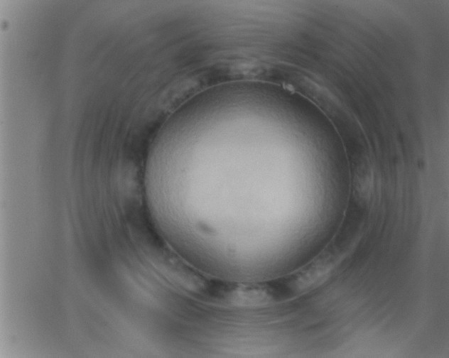 X0000062890270200601201853