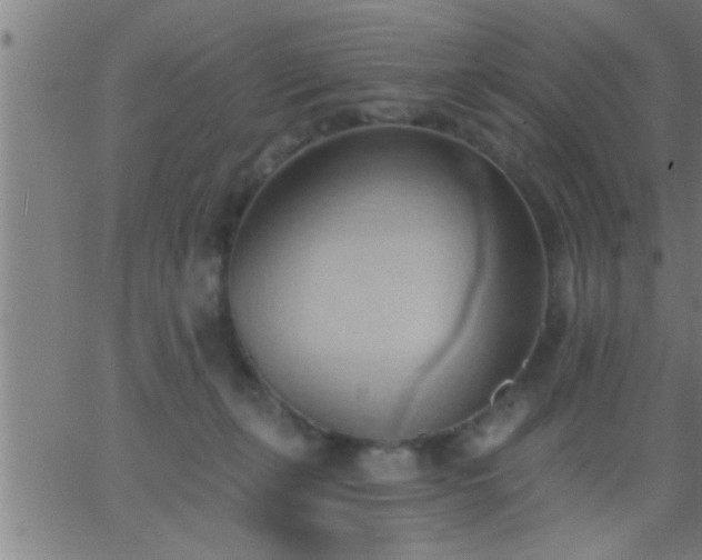 X0000062890271200601201853