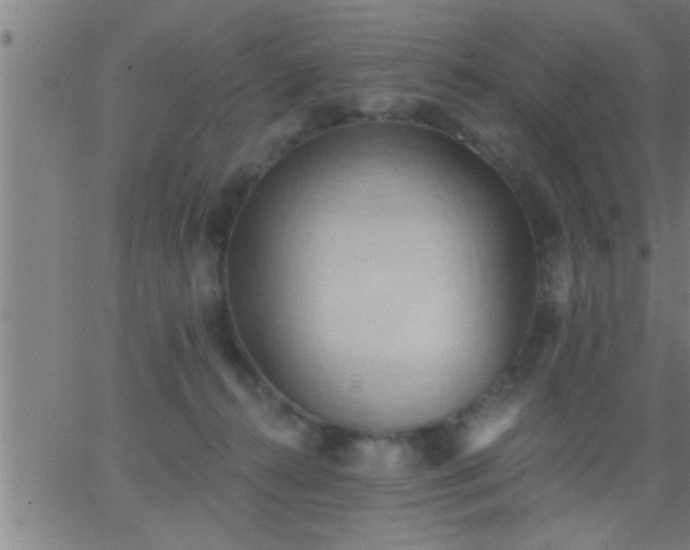 X0000062890272200601201853