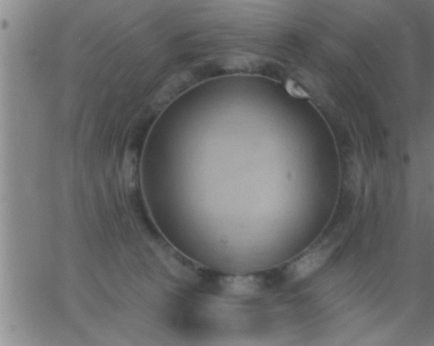 X0000062890273200601201853