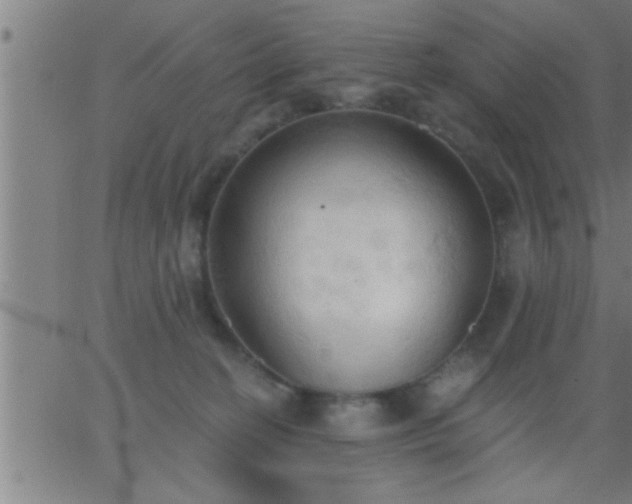 X0000062890274200601201853