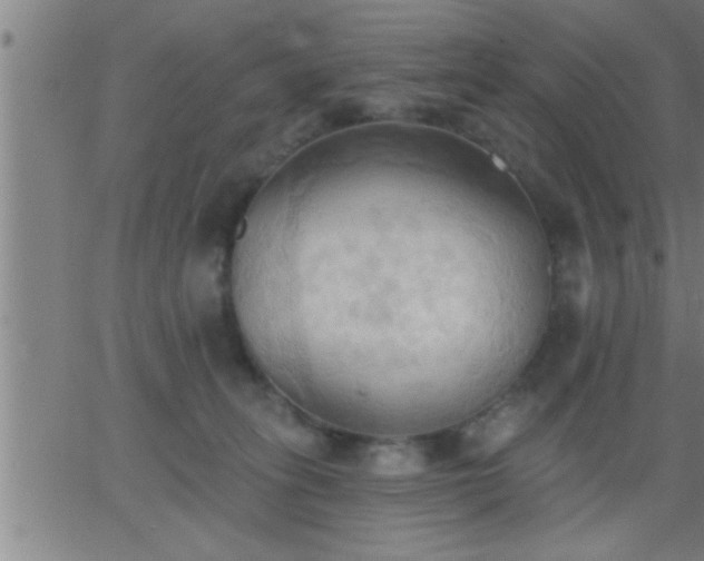 X0000062890275200601201853