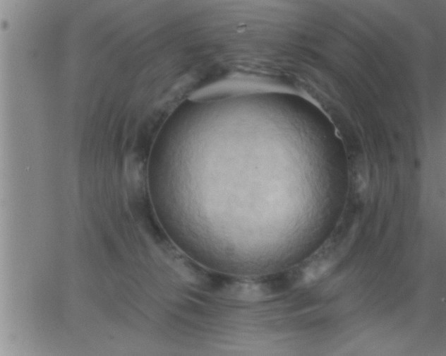 X0000062890276200601201853