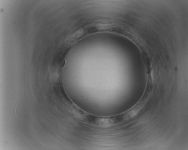 X0000062890277200601201853