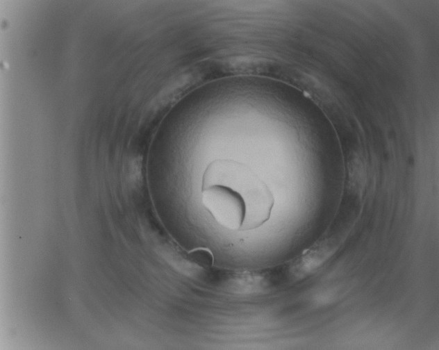 X0000062890278200601201853