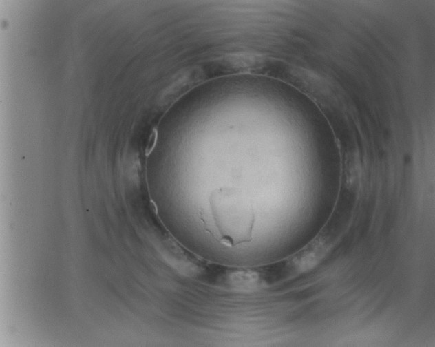 X0000062890279200601201853