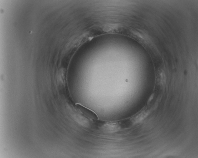 X0000062890280200601201853