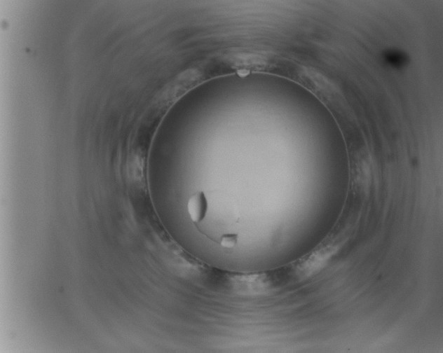 X0000062890281200601201853