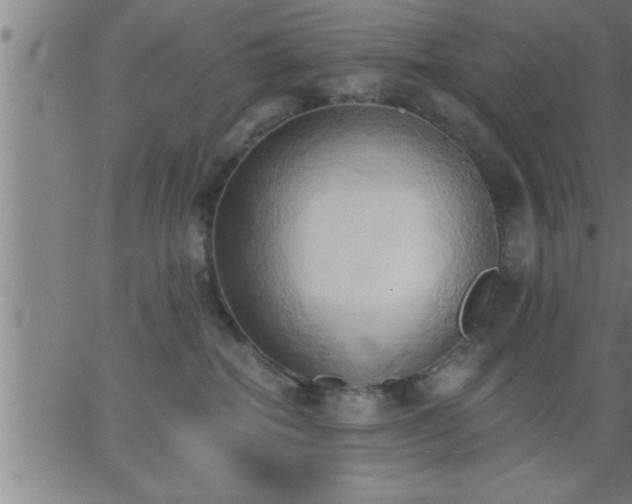 X0000062890282200601201853