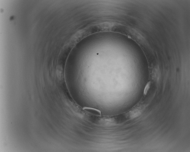 X0000062890283200601201853