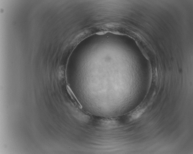 X0000062890284200601201853