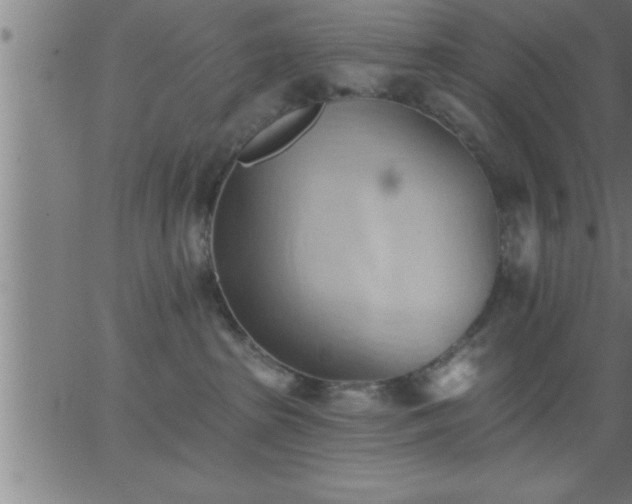 X0000062890285200601201853