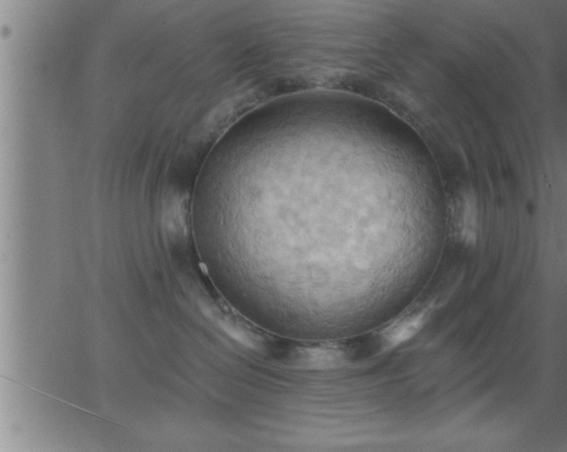 X0000062890286200601201853