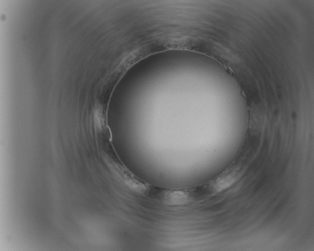 X0000062890287200601201853