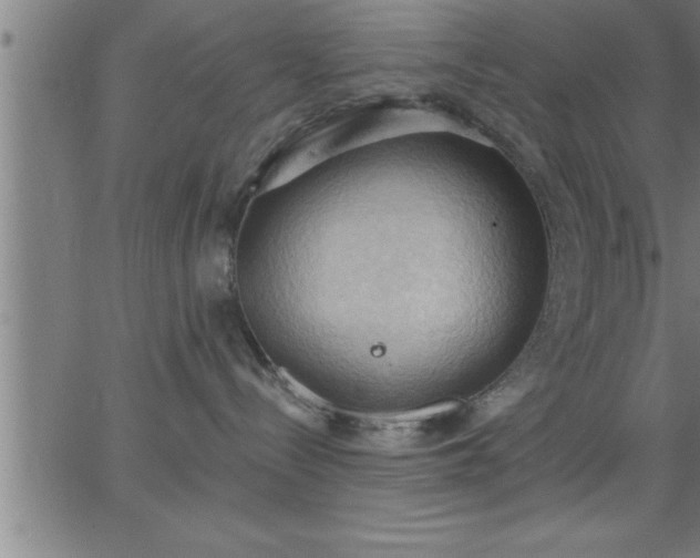 X0000062890288200601201853