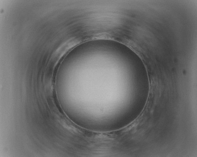 X0000062890290200601201853