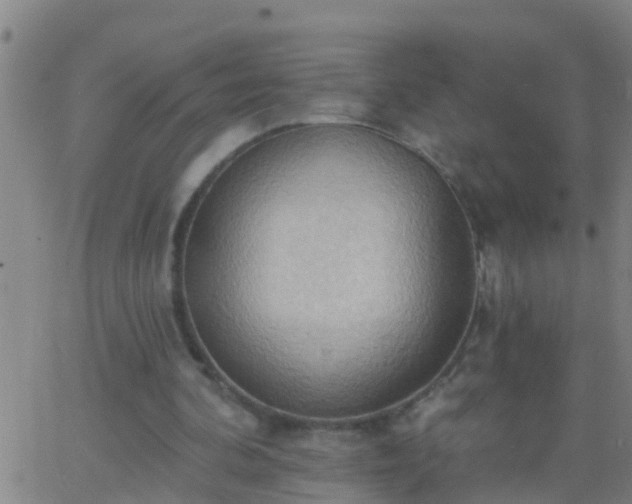 X0000062890292200601201853