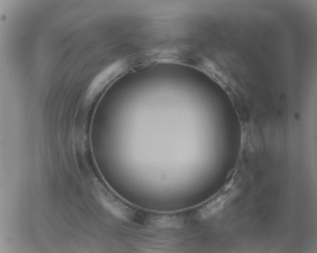 X0000062890293200601201853