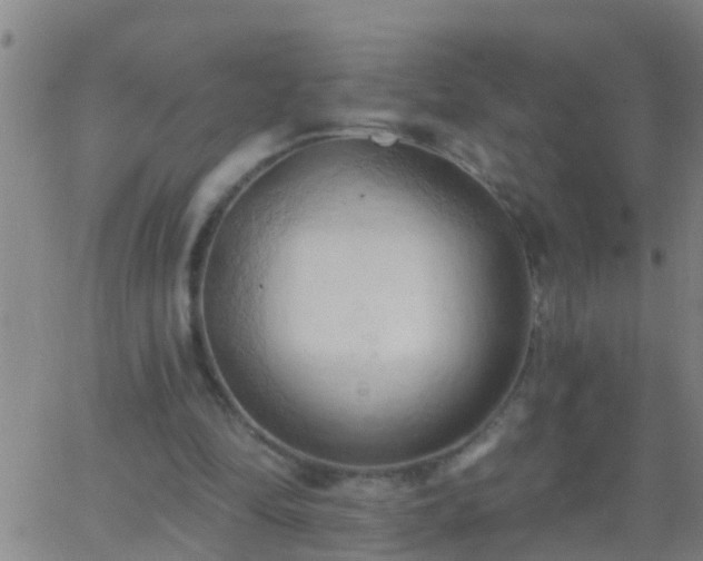 X0000062890294200601201852