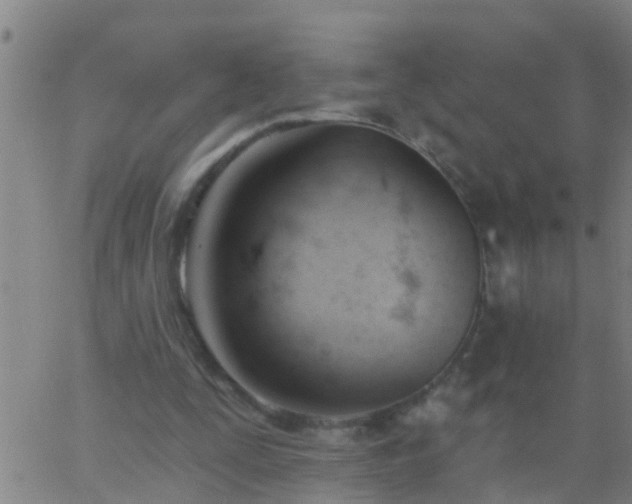 X0000062890295200601201852