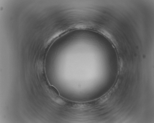 X0000062890297200601201852