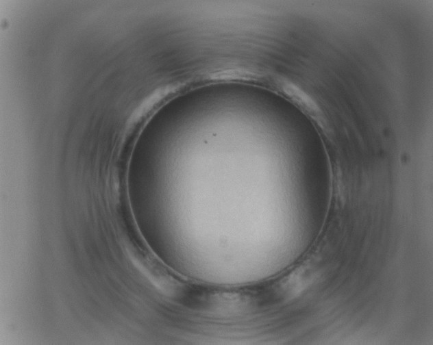 X0000062890298200601201852