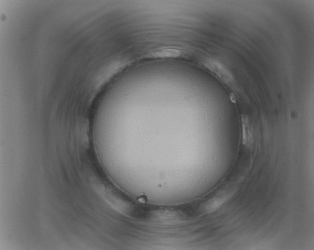 X0000062890300200601201852