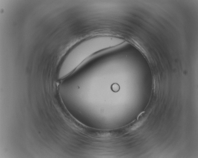 X0000062890301200601201852